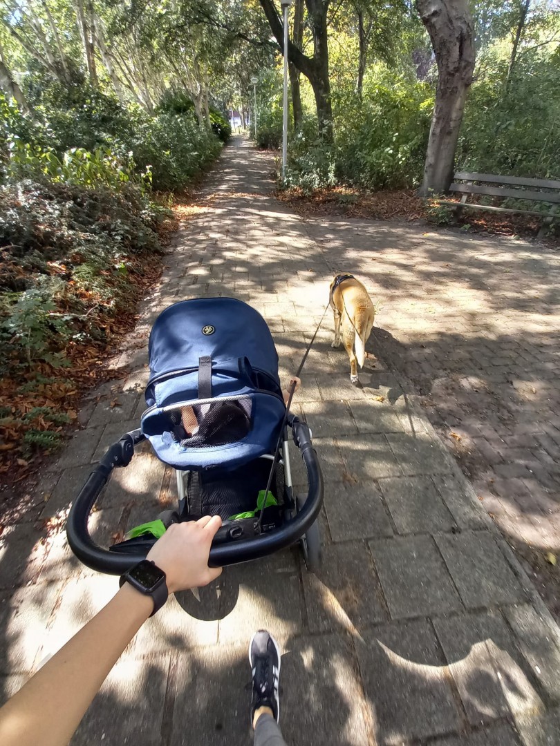 Adél au pair programja Hollandiában_egy kis séta